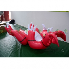 Red Inflatable Flame Dragon With 2 Meter Long